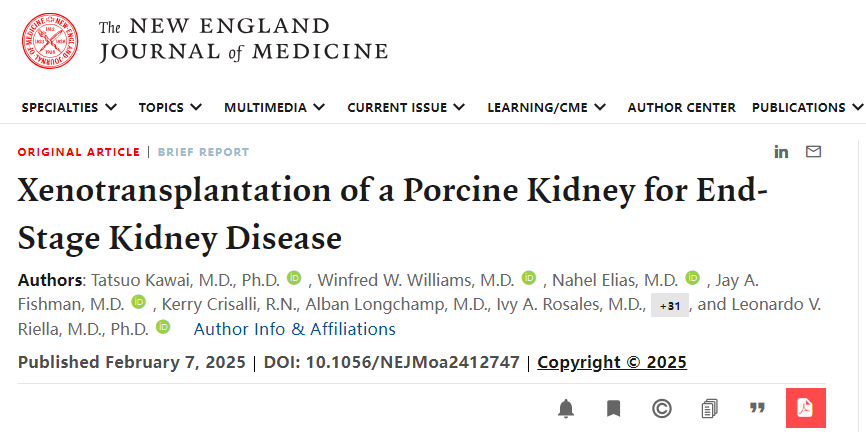 异种移植前沿丨NEJM案例报告：基因编辑猪肾脏异种移植为终末期肾病患者带来新希望