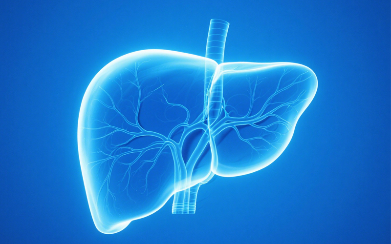 肝移植术后GVHD检测